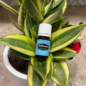 Young Living KidScents SniffleEase Essential Oil